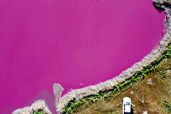 Dvě jezera v argentinském regionu Patagonie zrůžověla