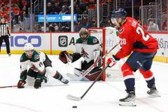 Karel Vejmelka Arizona NHL