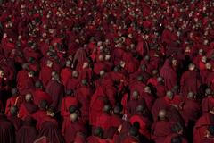 Trailer z filmu Tmavě červený les