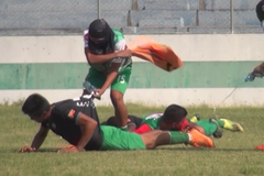 Během zápasu na bolivijské fotbalisty zaútočily včely