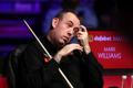 Mark Williams (snooker)