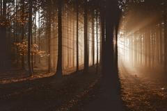 Tomáš Vocelka: Barvy českého podzimu na fotografiích