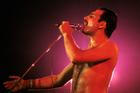 Freddie Mercury, Queen, 1984
