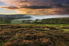 North York Moors