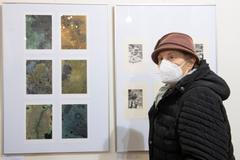 Festival komorní grafiky, Hollar