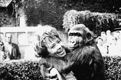 Jednorázové užití / Fotogalerie / Unikátní fotky z historie pražské ZOO, která letos slaví 90 let existence