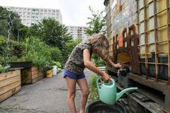 Komunitní zahrady Praha - Metro Farm, Vidimova, komunitní zahrada, pěstování, zahradničení, zahrádkář, zahrádkaření, rostliny