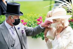 princ Charles, Camilla, vánoční přání, rouška