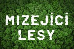 mizejici lesy