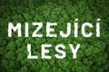 mizejici lesy