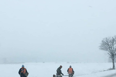 Poláci sekali trávu