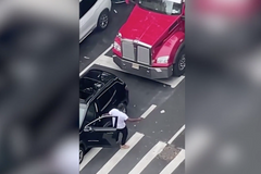 Zuřivý australský beran zaútočil na vědro. Tvrdě ale narazil