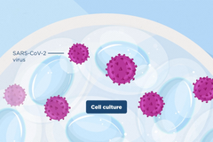 Představení nové vakcíny proti covidu-19 od firmy Valneva