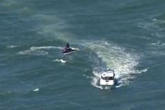 Pátrání po Chrisi Casertovi