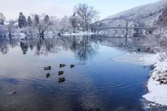 Fotogalerie / CHKO Český Kras / CHKO Český Kras je tu již 50 let