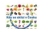 Kdy se sklízí v Česku