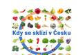Kdy se sklízí v Česku
