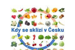 Kdy se sklízí v Česku