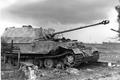Panzerjäger Ferdinand/Elefant