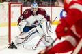 hokej, NHL 2021/2022, Detroit Red Wings - Colorado Avalanche, Pavel Francouz
