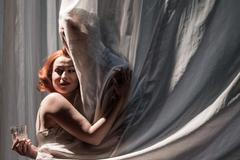 Kočka na rozpálené plechové střeše