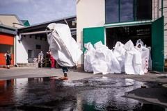 KoresponDance, Cie Pieds Perchés