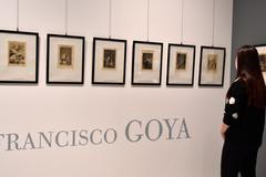 Francisco Goya: Caprichos (Rozmary)