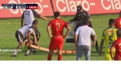 Had na utkání guatemalské fotbalové ligy