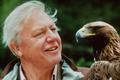 David Attenborough, 2009