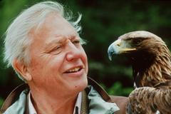 David Attenborough, 2009