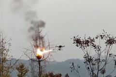 V Číně používají dron jako plamenomet na likvidaci vosích hnízd.