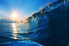 CODAGALERIE / Světový den oceánu / Shutterstock / 14