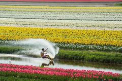 Těšíte se na jaro? Nejlepší jarní sportovní fotografie podle editorů Red Bullu