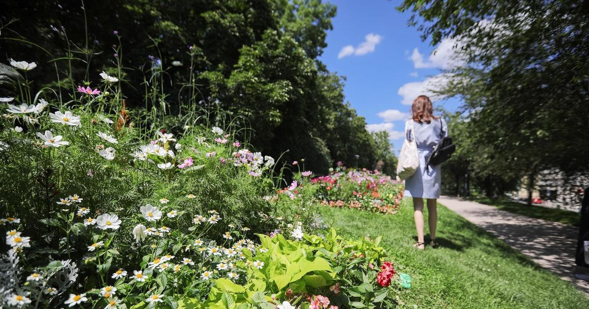 Česko čeká slunečný víkend s letními teplotami, v neděli může být až 28 stupňů