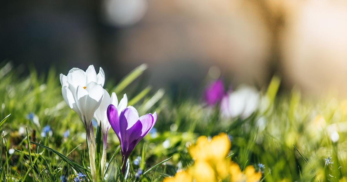 Po teplých dnech se v Česku ochladí, noci budou mrazivé