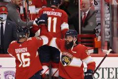 hokej, NHL 2021/2022, Florida Panthers - Chicago Blackhawks, Radko Gudas, Aleksander Barkov