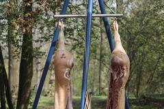 Řezník, jatka - porcování syrového masa - prasete / vepře - ukázka nožů