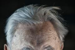 Fotogalerie / Felix Kolmer / Libor Fojtík / Kniha / Objektivem Libora Fojtíka: Osobnost a životní peripetie skauta Felixe Kolmera