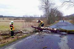 Vítr, 30. ledna 2022