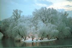 Fotogalerie / Střelecký ostrov / Střelecký ostrov v Praze slaví výročí již 485 let své existence