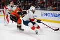 Florida Panthers defenseman Radko Gudas (7) plays for the puck against Anaheim Ducks right wing Troy Terry (19)