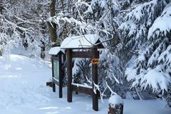 První jarní den - sníh, chumelenice na horách