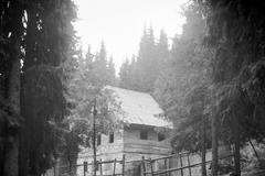 Prameny Vltavy, zajatecký tábor, 1947