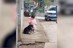 Obyčejné gesto malé dívenky dojalo svět