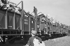 Sběr surovin, Praha, 1948, chlapec