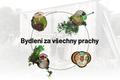 grafika - Bydlení za všechny prachy
