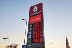 Ceny pohonných hmot