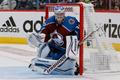 hokej, NHL 2021/2022, Stanley Cup, Colorado Avalanche - Edmonton Oilers, Pavel Francouz