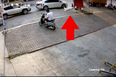 Trik mlsné kočky na dávku čerstvého mléka dostává lidi do kolen