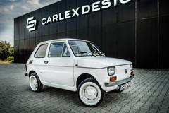 Maluch pro Toma Hankse